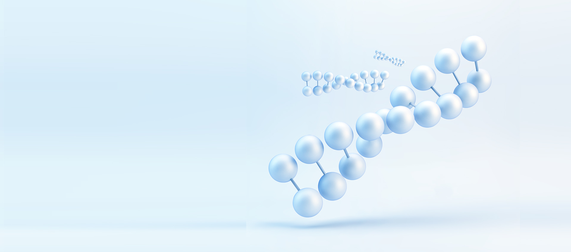 banner1.jpg